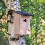 Casa de pájaros de jardín con abertura de 30mm y ranura para drenaje color madera quinta vista