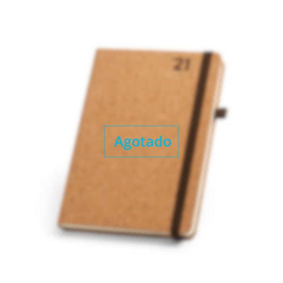 Agendas Personalizadas 21 Con Logo Desde 1 22